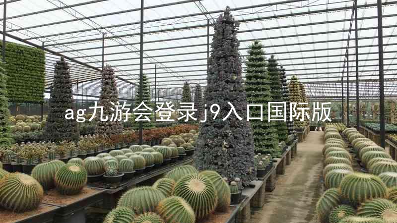 ag九游会登录j9入口国际版